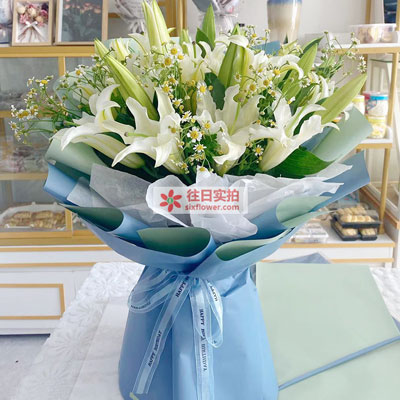 聊城8支白色多头百合洋甘菊,互倾的思念