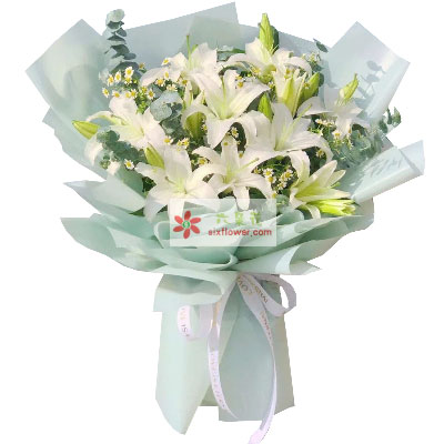 聊城6支白色多头百合，温馨的祝福