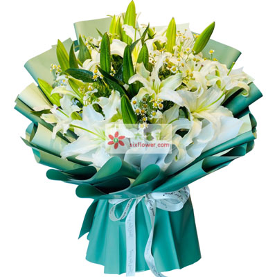 聊城8支白色多头百合洋甘菊，如潮的思念
